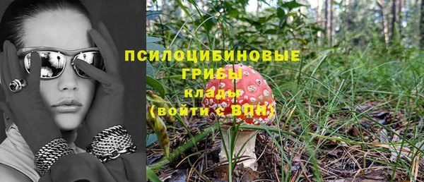 ешки Пролетарск