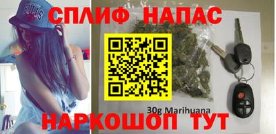 сатива Кимры