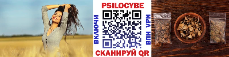 Галлюциногенные грибы Psilocybe Лангепас