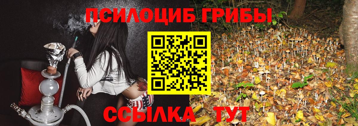 купить  сайты  Вход с VPN  Лангепас  Галлюциногенные грибы мицелий  Галлюциногенные грибы Psilocybine cubensis 