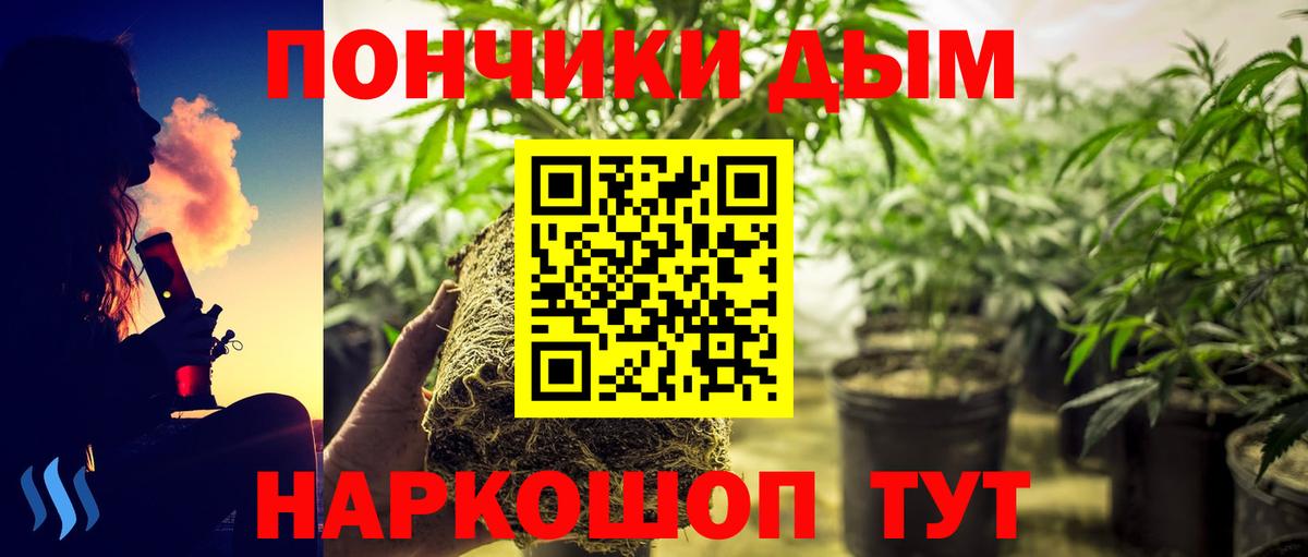 Лангепас  Каннабис план  Канабис SATIVA & INDICA  Бошки марихуана AK-47  Вход с VPN  Марихуана план 